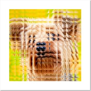 Glass Block Yorkie looking at you Posters and Art